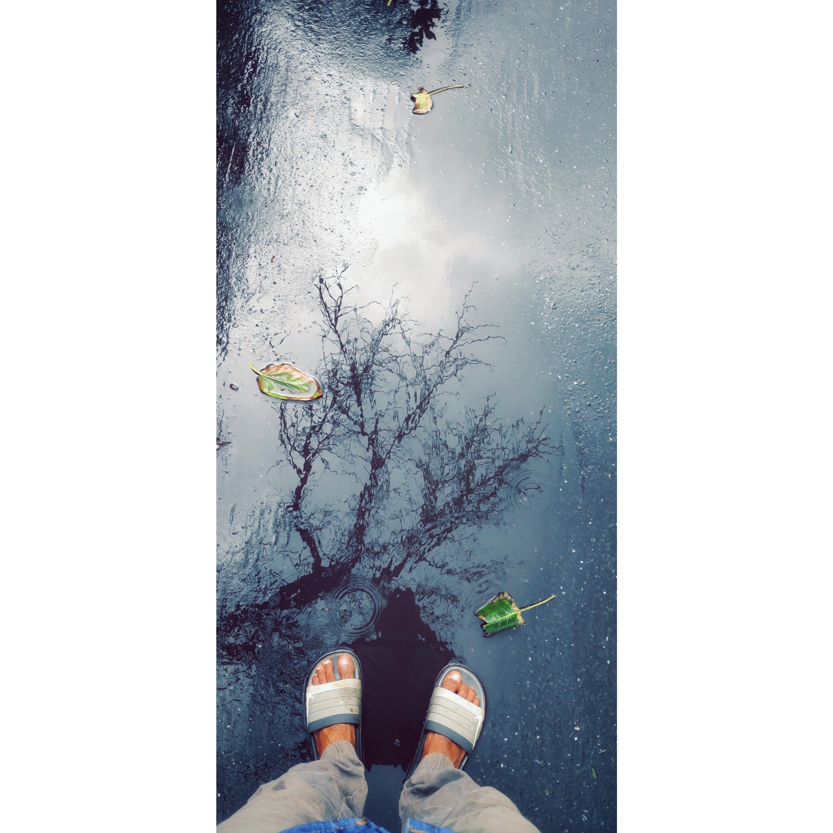 Thanks for joining me!Mobile photography. — Prajwal Gowda